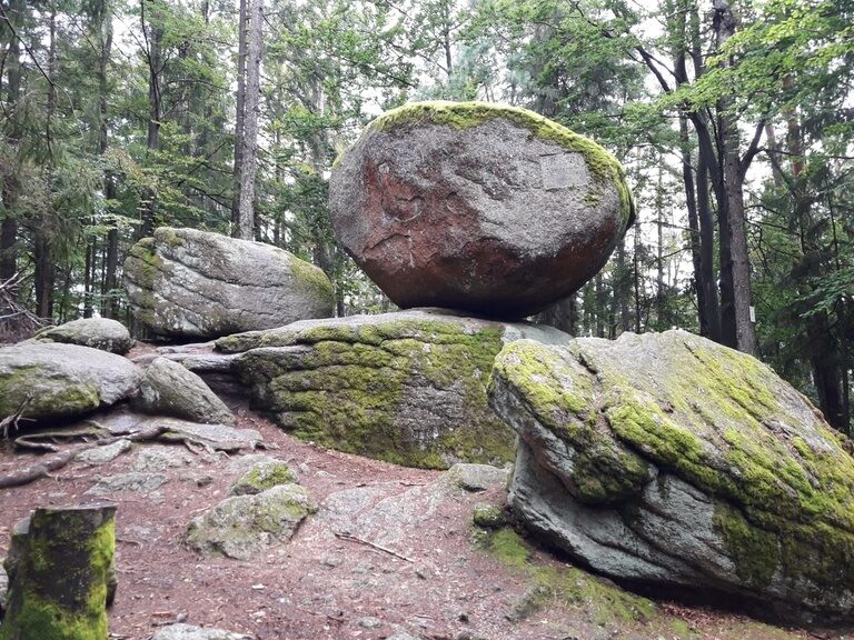 Der Wackelstein in einem Wald