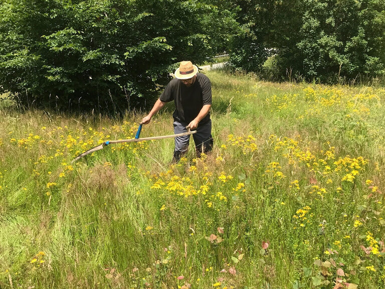 Ein Mann mäht eine Wiese