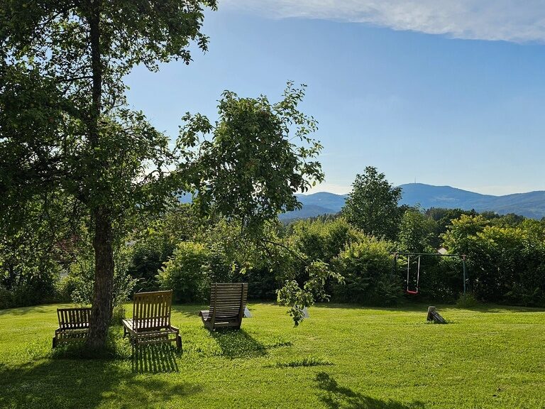 Der sonnige Morgen erhellt die natürliche Landschaft mit Bäumen.